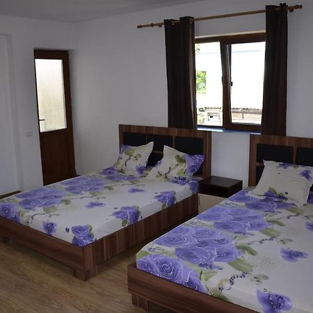 Casa Sarofin Hotel Костинещи Екстериор снимка